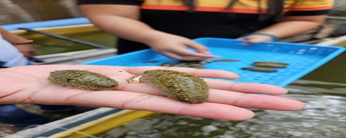 PVN Point Viewer Publishing