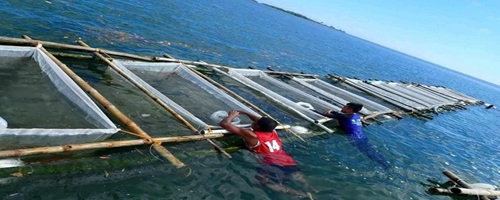 PVN Point Viewer Publishing